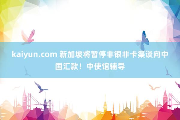 kaiyun.com 新加坡将暂停非银非卡渠谈向中国汇款！中使馆辅导