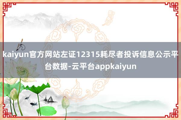 kaiyun官方网站左证12315耗尽者投诉信息公示平台数据-云平台appkaiyun