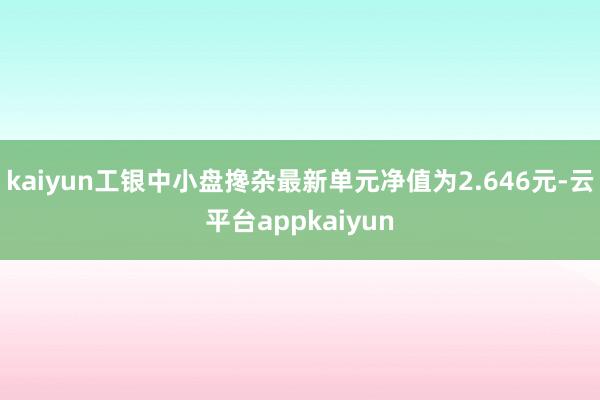 kaiyun工银中小盘搀杂最新单元净值为2.646元-云平台appkaiyun