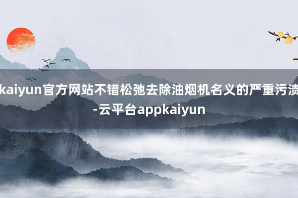 kaiyun官方网站不错松弛去除油烟机名义的严重污渍-云平台appkaiyun
