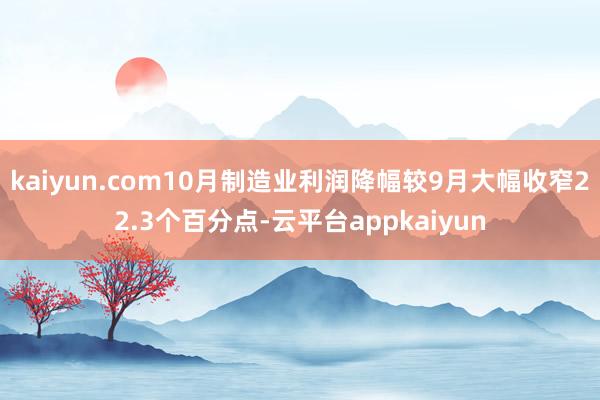 kaiyun.com10月制造业利润降幅较9月大幅收窄22.3个百分点-云平台appkaiyun