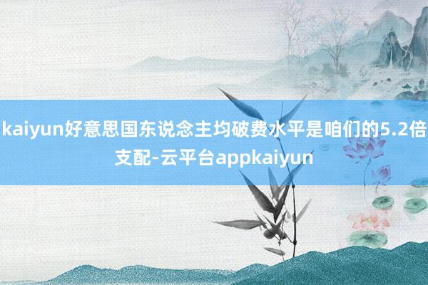 kaiyun好意思国东说念主均破费水平是咱们的5.2倍支配-云平台appkaiyun