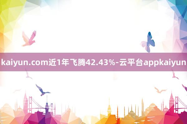 kaiyun.com近1年飞腾42.43%-云平台appkaiyun