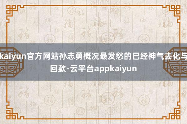 kaiyun官方网站孙志勇概况最发愁的已经神气去化与回款-云平台appkaiyun