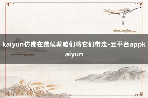 kaiyun仿佛在恭候着咱们将它们带走-云平台appkaiyun