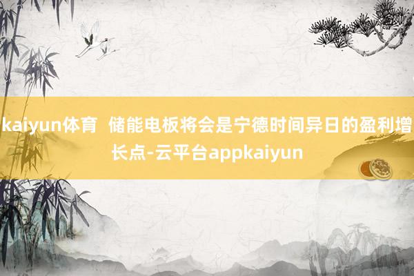 kaiyun体育  储能电板将会是宁德时间异日的盈利增长点-云平台appkaiyun