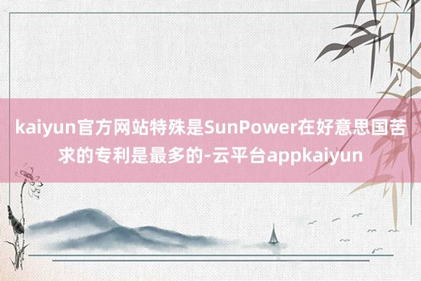kaiyun官方网站特殊是SunPower在好意思国苦求的专利是最多的-云平台appkaiyun