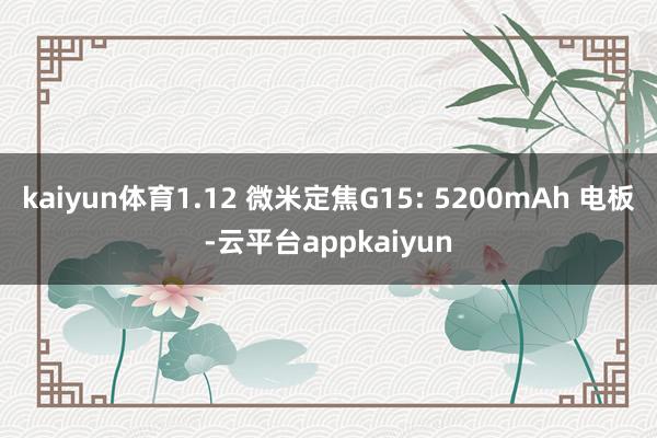 kaiyun体育1.12 微米定焦G15: 5200mAh 电板-云平台appkaiyun