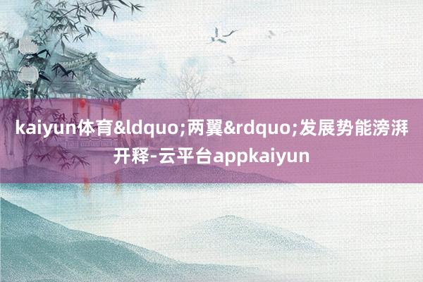 kaiyun体育&ldquo;两翼&rdquo;发展势能滂湃开释-云平台appkaiyun