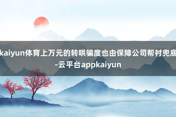kaiyun体育上万元的转哄骗度也由保障公司帮衬兜底-云平台appkaiyun