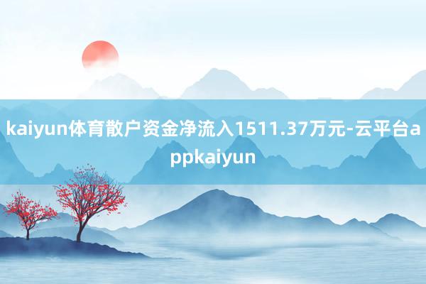 kaiyun体育散户资金净流入1511.37万元-云平台appkaiyun