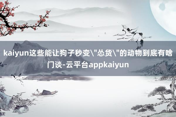 kaiyun这些能让狗子秒变