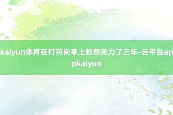 kaiyun体育在打荷岗亭上默然死力了三年-云平台appkaiyun