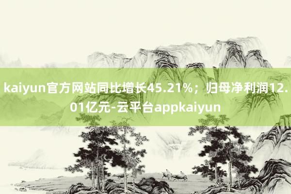 kaiyun官方网站同比增长45.21%;归母净利润12.01亿元-云平台appkaiyun