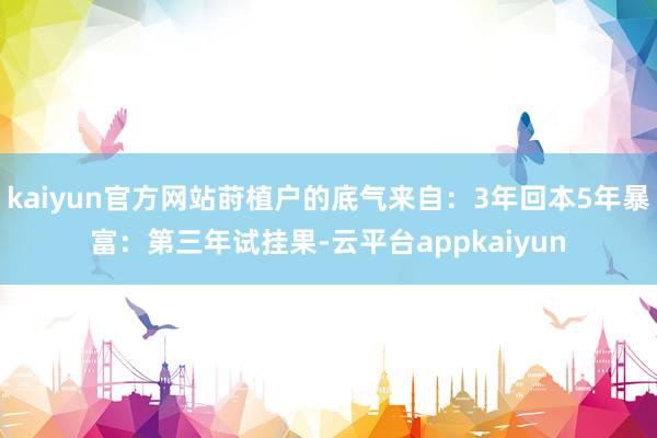 kaiyun官方网站莳植户的底气来自：3年回本5年暴富：第三年试挂果-云平台appkaiyun